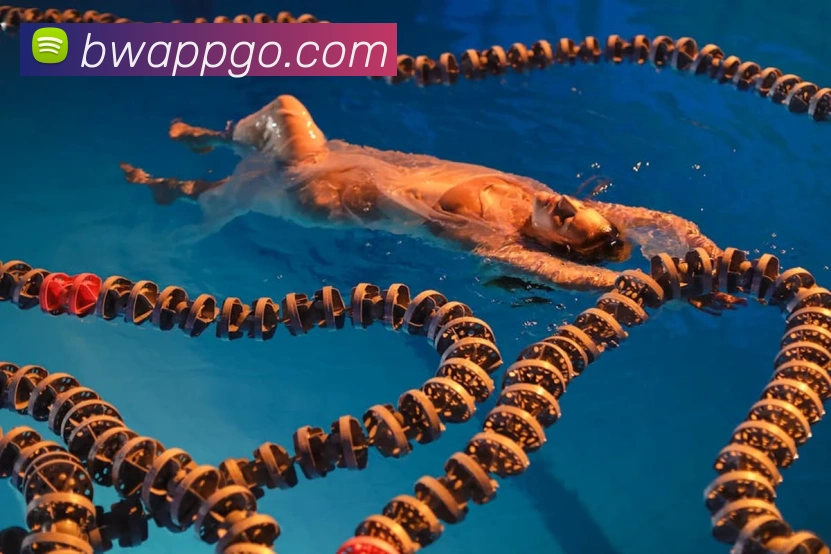 必威Betway平台生态图